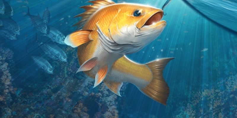 Bắn Cá U888 chắc chắn là lựa chọn lý tưởng cho những ai yêu thích thể loại game này